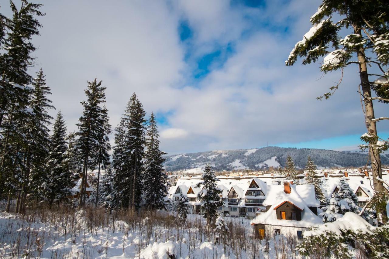 Ciche Wzgorze Zakopane